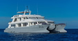 Ship cruise to Galapagos